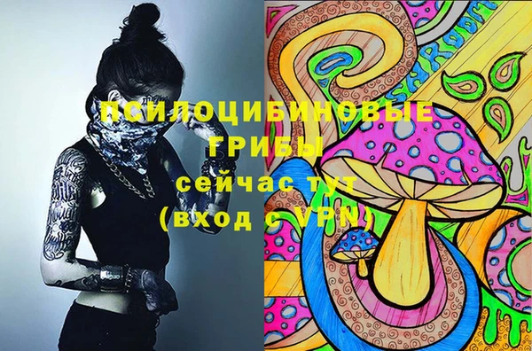 хмурый Алексин