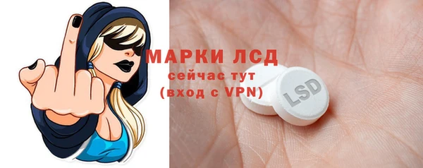 хмурый Алексин