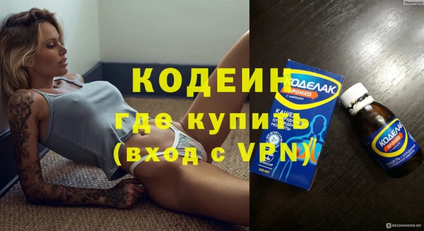 хмурый Алексин