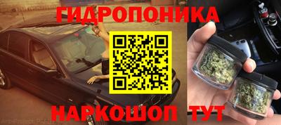 мяу мяу мука Тулун