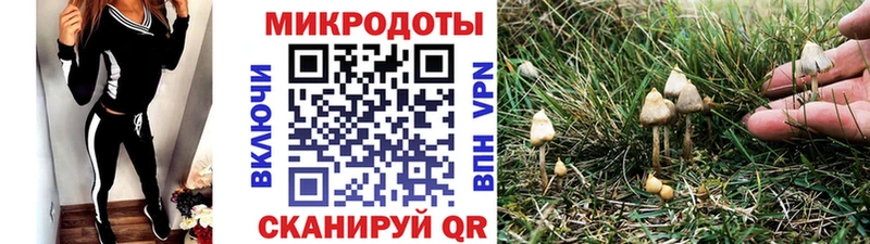 Псилоцибиновые грибы мицелий Челябинск