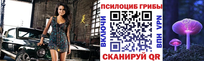 кракен онион  Челябинск  Галлюциногенные грибы Psilocybine cubensis 
